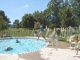 Family reunion at George s house swimming pool